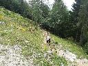 IMG_20190731_151655